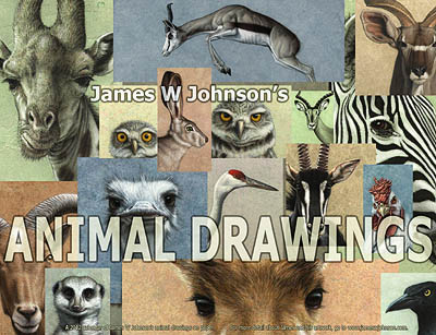 James W Johnson's Animal Drawings 2012 calendar