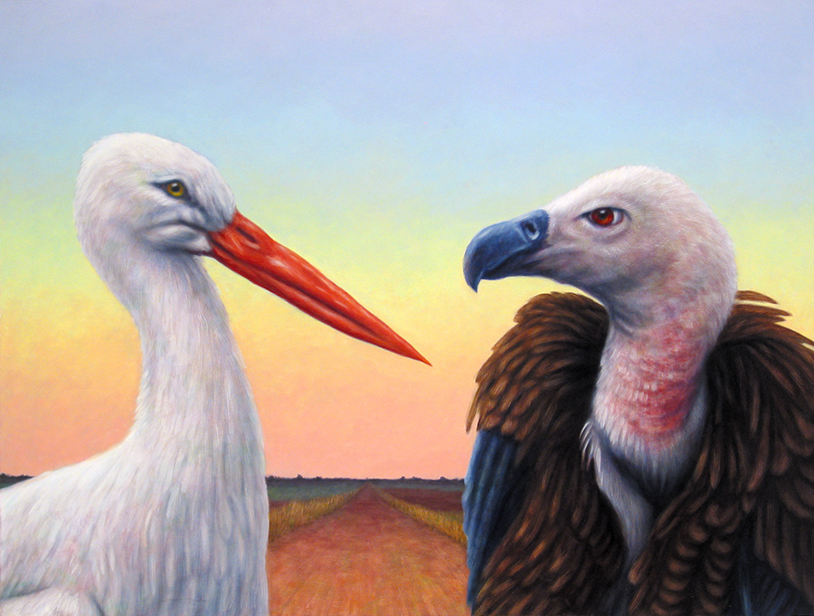 stork and buzzard