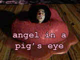 Angel in a Pig's Eye