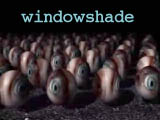 windowshade