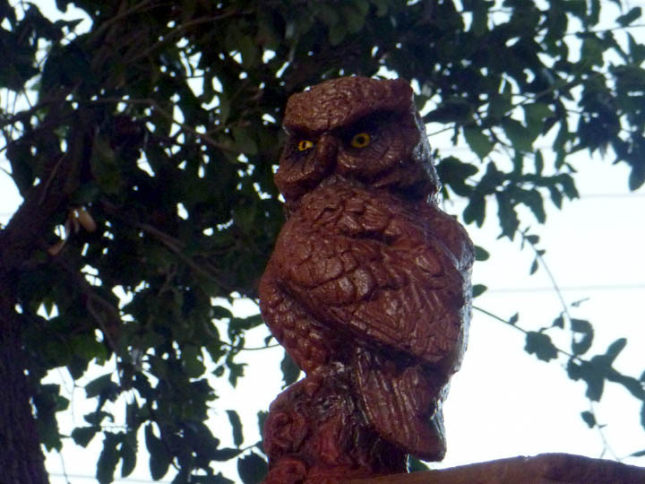 The Guardian