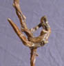 tumbleweed root