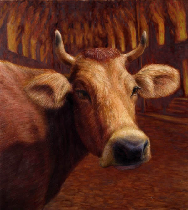 Mrs O'leary's cow