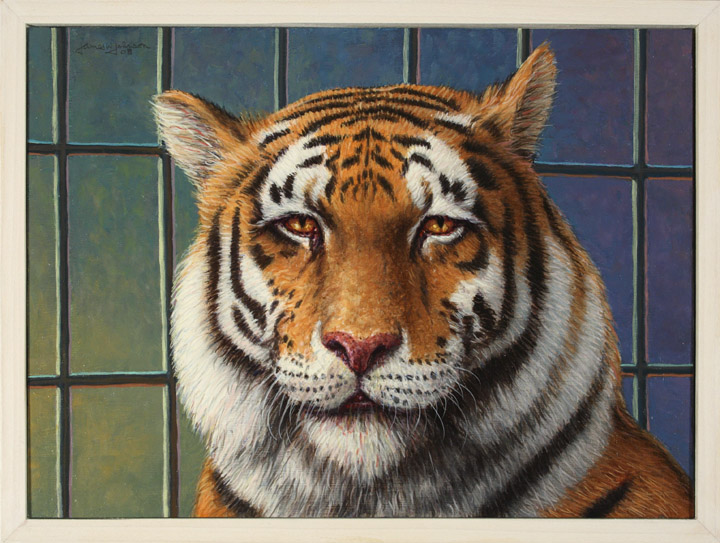 Tiger in Trouble