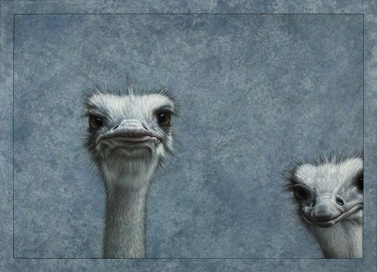 Ostriches