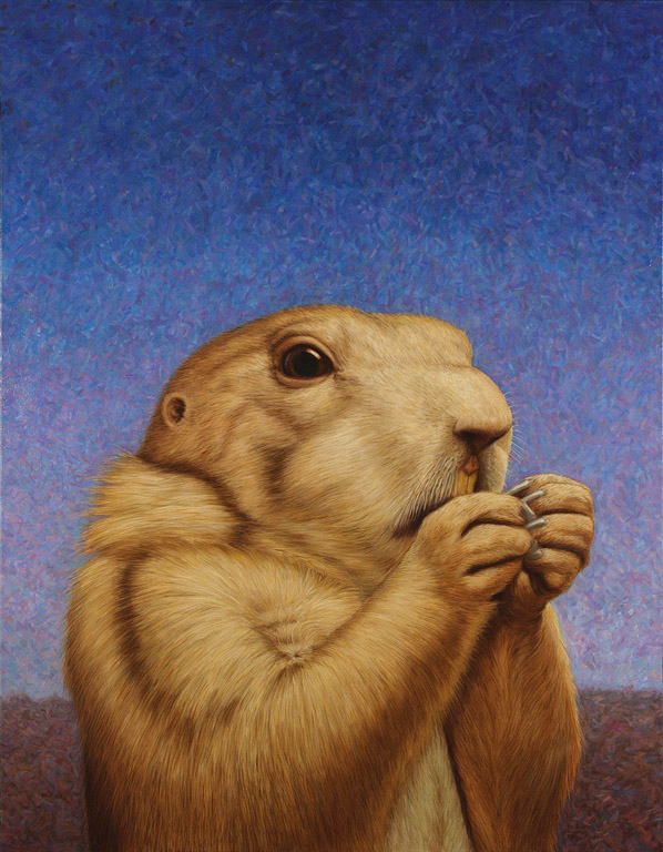 Prairie Dog