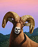 Portrait of a Bighorn