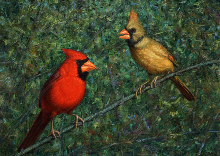 Cardinal Couple