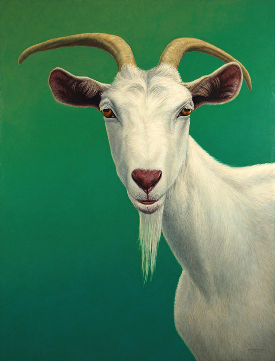 Portrait of a Goat