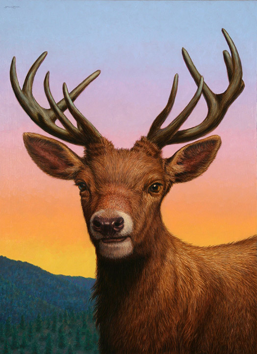 Portrait of a Red Deer