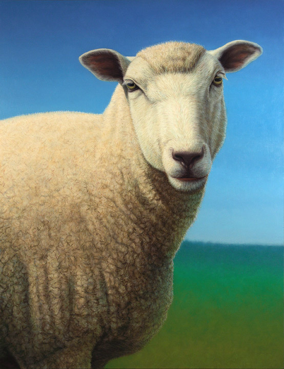 Portrait of a Sheep