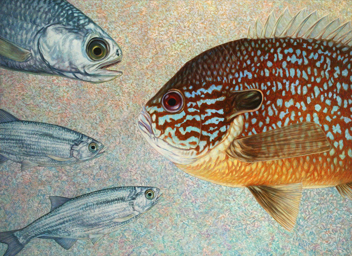 "Mooneyes, Sunfish"