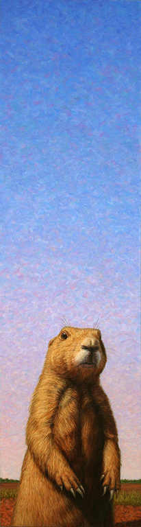 Tall Prairie Dog