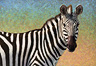 Portrait of a Zebra