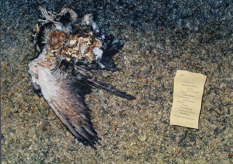 birds
